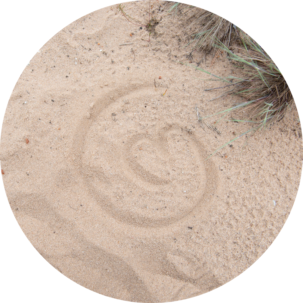 Spiral shape drawn in sand, mamalila logo, surrounded by fine beach sand and grass